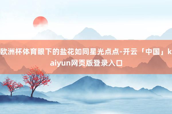 欧洲杯体育眼下的盐花如同星光点点-开云「中国」kaiyun网页版登录入口