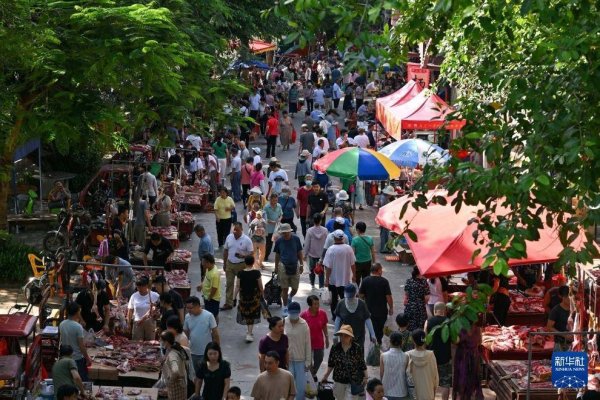 开yun体育网农民带来的性情农产物眩惑了很多市民和搭客前来采购-开云「中国」kaiyun网页版登录入口