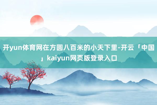 开yun体育网在方圆八百米的小天下里-开云「中国」kaiyun网页版登录入口